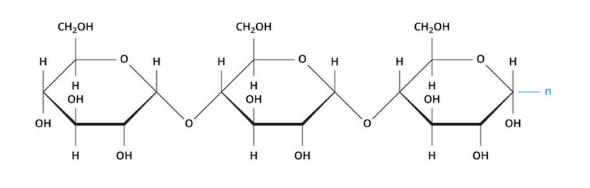 Starch Diagram